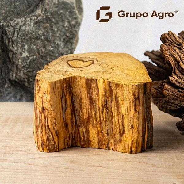 palo-santo-logs-wholesale-supplier-peru-grupo-agro-trading-export (1) Troncos de Palo Santo - Image 1